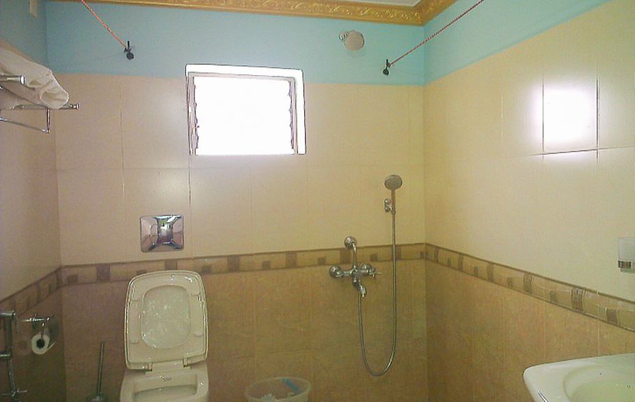 Clean bathroom Goa
