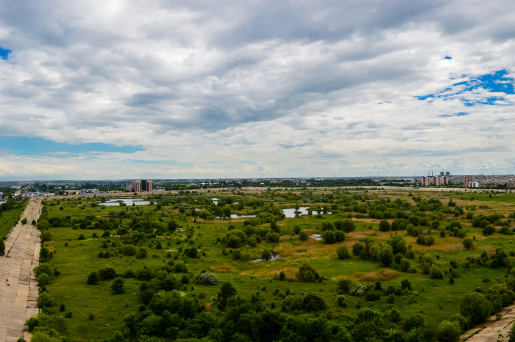 A view over Văcărești