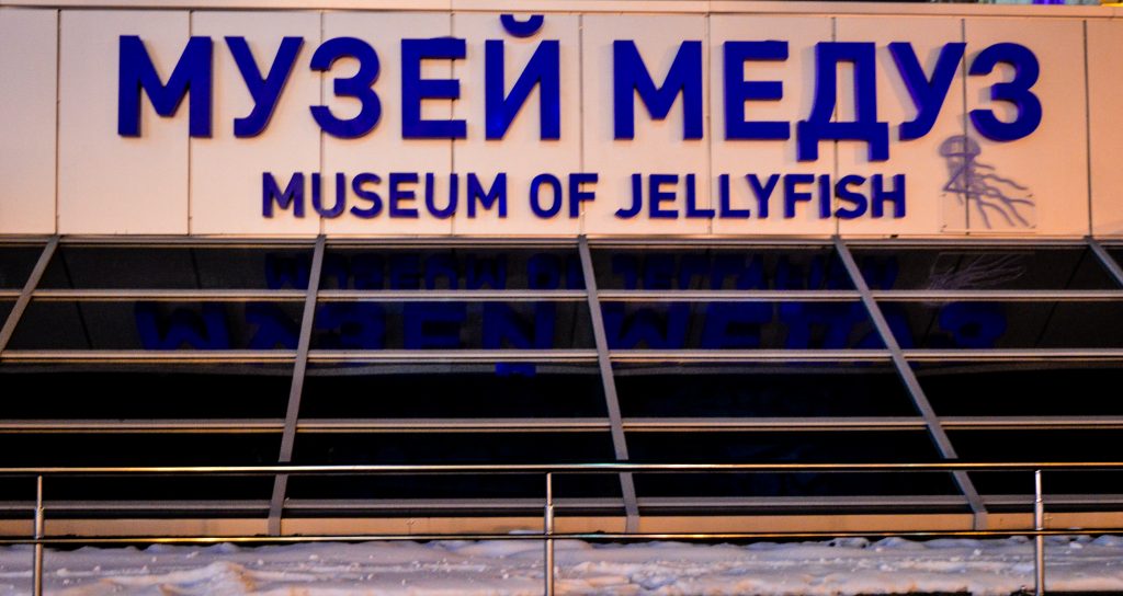 Alternative Things To Do In Kiev (Kyiv), Ukraine - Jellyfish Museum