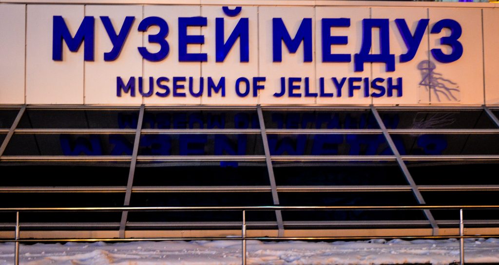 Alternative Things To Do In Kiev (Kyiv), Ukraine - Jellyfish Museum